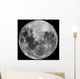 Full Moon Wall Decal Design 1
