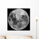 Full Moon Wall Decal Design 1