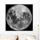 Full Moon Wall Decal Design 1