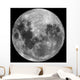 Full Moon Wall Decal Design 1