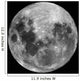 Full Moon Wall Decal Design 1