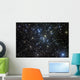 M41 Bright Open Star Wall Decal