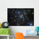 M41 Bright Open Star Wall Decal