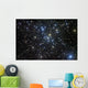 M41 Bright Open Star Wall Decal
