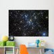 M41 Bright Open Star Wall Decal