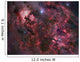 Northern Cygnus Wall Decal