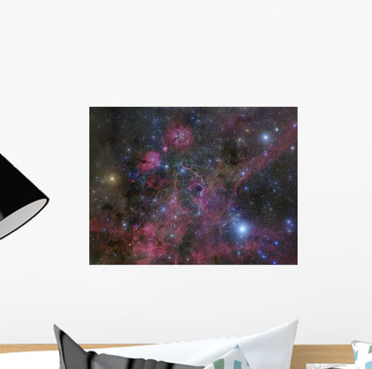 Vela Supernova Remnant Wall Decal