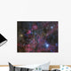 Vela Supernova Remnant Wall Decal