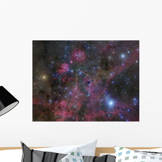 Vela Supernova Remnant Wall Decal