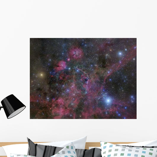 Vela Supernova Remnant Wall Decal