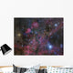 Vela Supernova Remnant Wall Decal