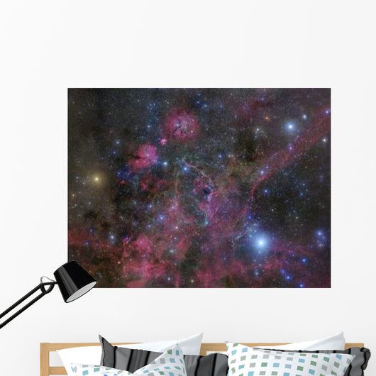 Vela Supernova Remnant Wall Decal