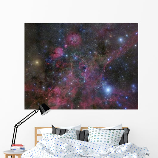 Vela Supernova Remnant Wall Decal