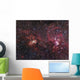 H Ii Regions Ngc Wall Decal