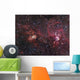 H Ii Regions Ngc Wall Decal