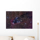 Dark Tower Cometary Globule Wall Decal