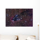 Dark Tower Cometary Globule Wall Decal