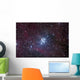 Open Cluster Ngc 3293 Wall Decal