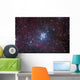 Open Cluster Ngc 3293 Wall Decal