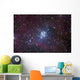 Open Cluster Ngc 3293 Wall Decal