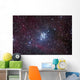 Open Cluster Ngc 3293 Wall Decal