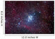 Open Cluster Ngc 3293 Wall Decal