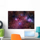 Ngc 6559 Is Rich Wall Decal
