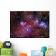 Ngc 6559 Is Rich Wall Decal