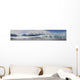 Overview Disenchantment Bay and Wall Decal