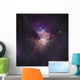 Center Orion Nebula Trapezium Wall Decal