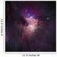 Center Orion Nebula Trapezium Wall Decal