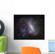 Large Magellanic Cloud Wall Decal