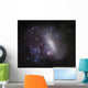 Large Magellanic Cloud Wall Decal