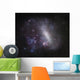 Large Magellanic Cloud Wall Decal