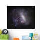 Large Magellanic Cloud Wall Decal