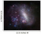 Large Magellanic Cloud Wall Decal