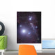 Supergiant Rigel and Ic Wall Decal