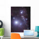 Supergiant Rigel and Ic Wall Decal