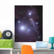 Supergiant Rigel and Ic Wall Decal