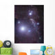 Supergiant Rigel and Ic Wall Decal