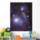 Supergiant Rigel and Ic Wall Decal