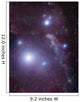 Supergiant Rigel and Ic Wall Decal