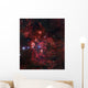 Lobster Nebula Scorpius Wall Decal
