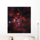 Lobster Nebula Scorpius Wall Decal