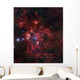 Lobster Nebula Scorpius Wall Decal