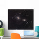 Galaxies Ngc 3166 and Wall Decal