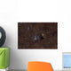 Ngc 6520 Open Cluster Wall Decal