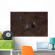 Ngc 6520 Open Cluster Wall Decal