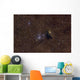 Ngc 6520 Open Cluster Wall Decal