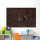 Ngc 6520 Open Cluster Wall Decal